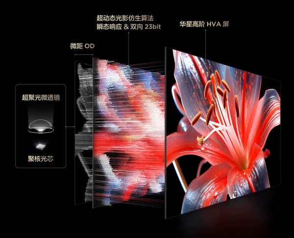 当TCL遇上女篮亚洲杯，“全球第一” 背后藏着多少绝杀狠招？